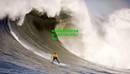 詹姆斯新季开启养生模式?谁是沃格尔首选二号位?