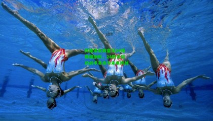 阿隆索执教皇马34场数据剖析，24胜背后的战术革命与未来挑战